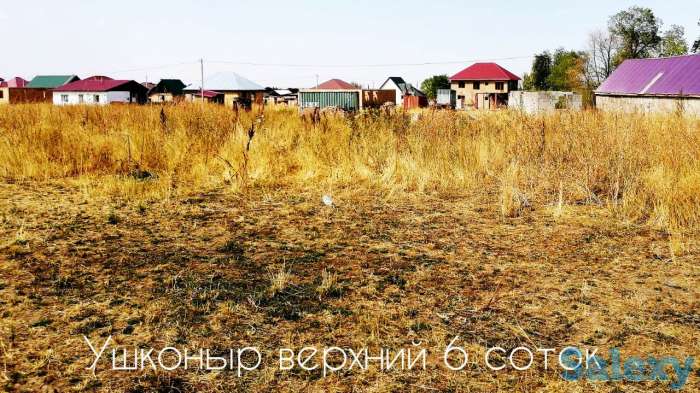Продам земельный участок, жилой массив Ушконыр верхний, фотография 4
