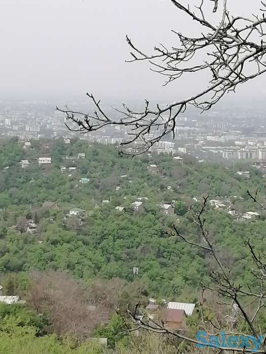 Продажа зем участка, Снт энергетик.улица Шокая, фотография 3