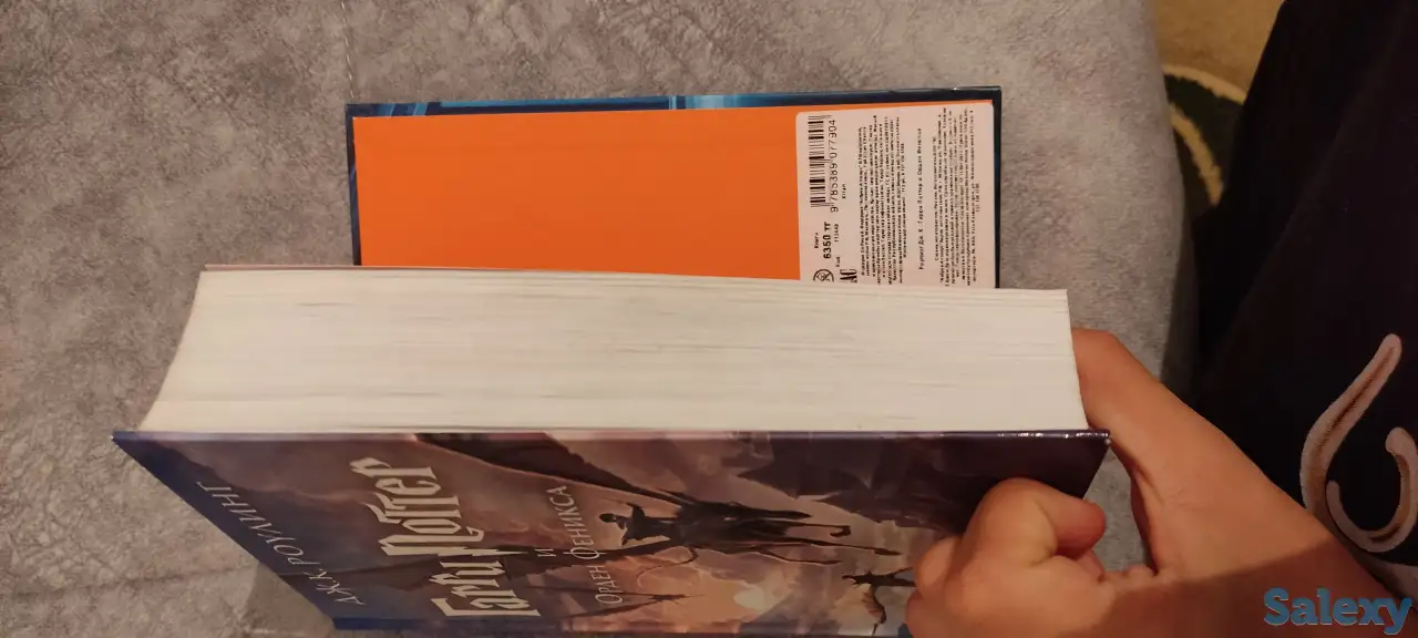 Гарри Поттер 