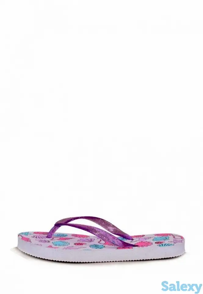 Сланцы t.taccardi, фотография 1