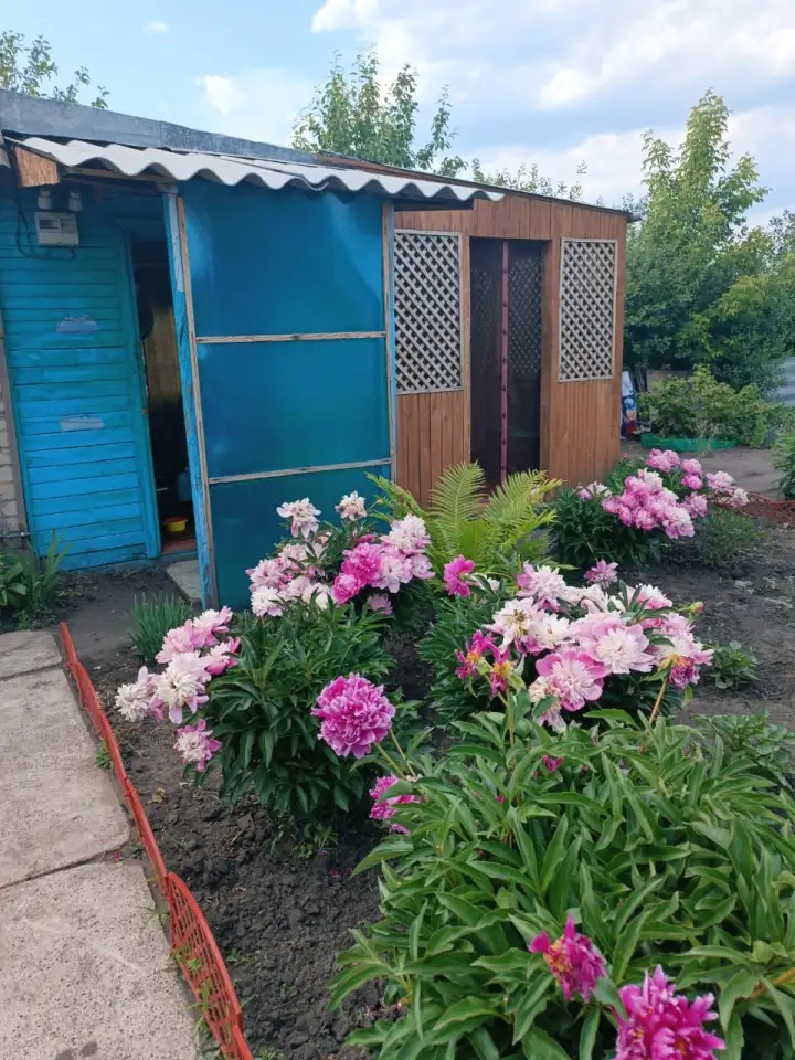 Продам дачу остановка поворотная, фотография 1