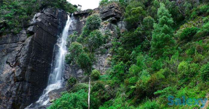 Завораживающее путешествие на Шри - Ланку., фотография 4