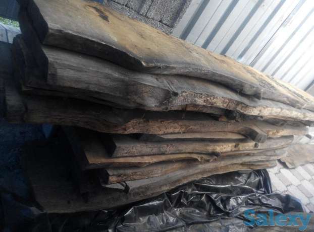 Лес, дуб, фотография 1