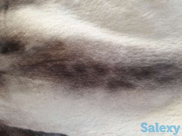 Продам шубу, фотография 4