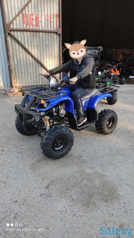 Квадроциклы 50,110,125,250сс, фотография 4