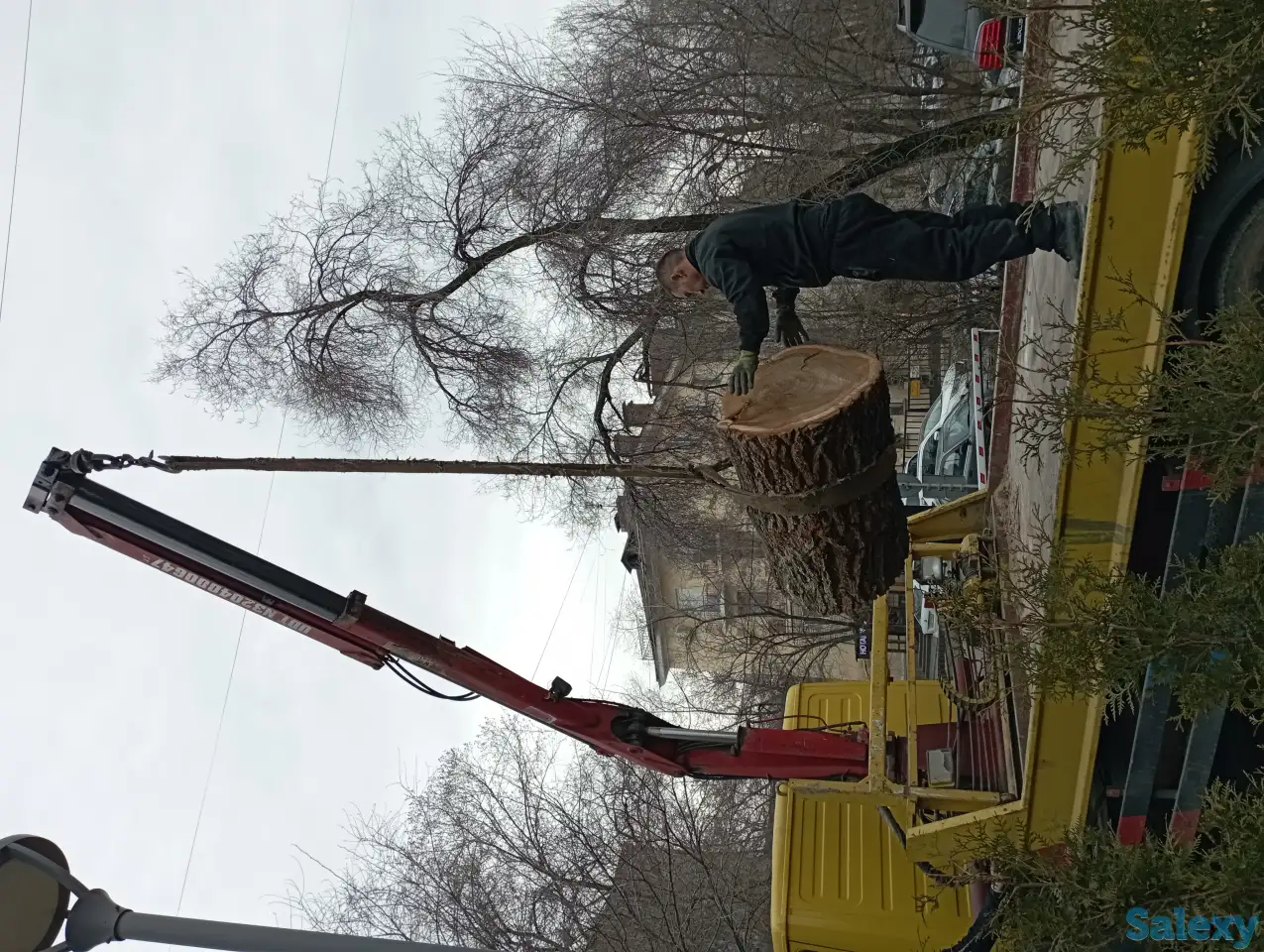 Спил, сруб деревьев, обрезка, кронировка, выкорчевка пней, фотография 3