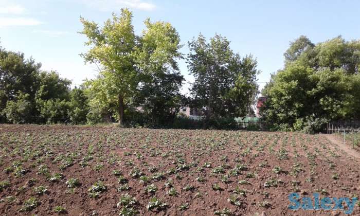 Продам дом в с. Новоишимка (Жанаесиль) 45 км от г. Нур-Султан, фотография 7