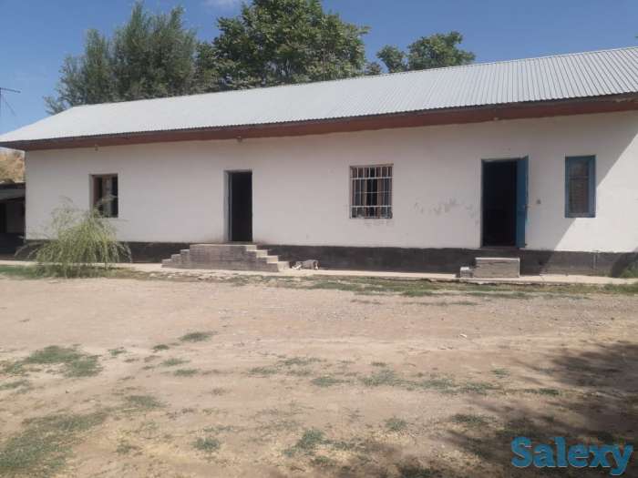 Сарай, теплица, Жаңа арық, фотография 6