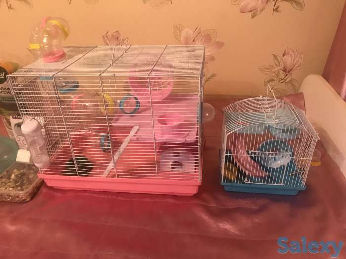 Продам клетка для хомяков 2 -этажный +подарок, фотография 7