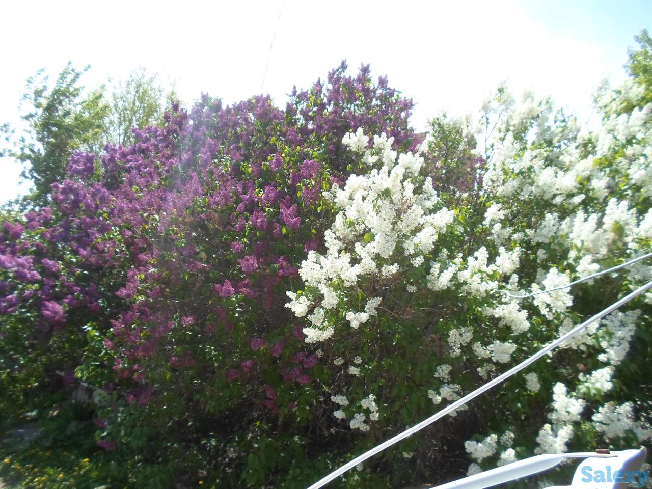 Продается Дом-Мечта, Интернациональная, 30, фотография 6