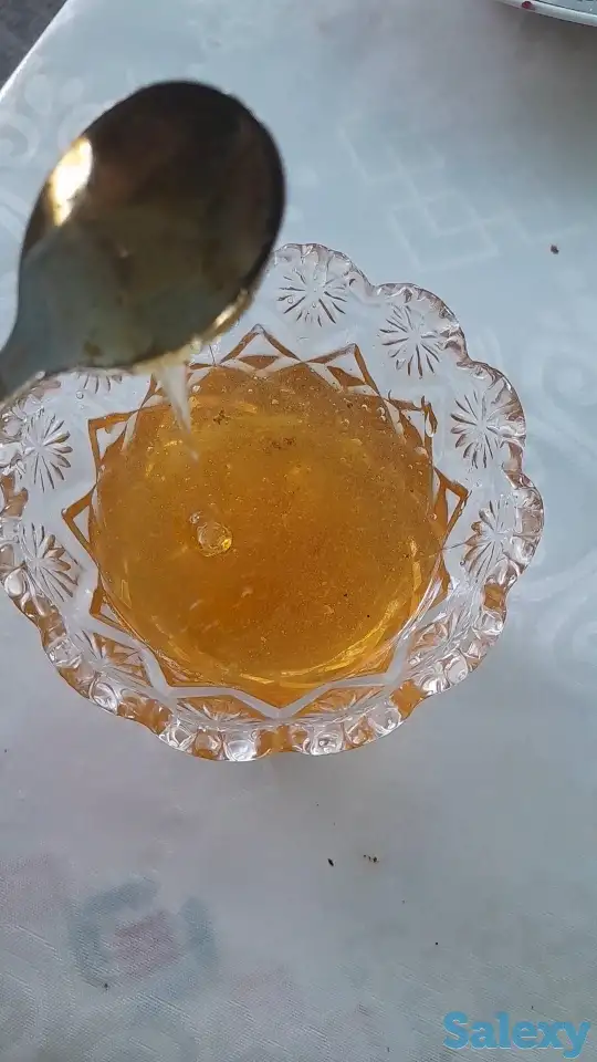 Продам мед (подсолнечник), фотография 4