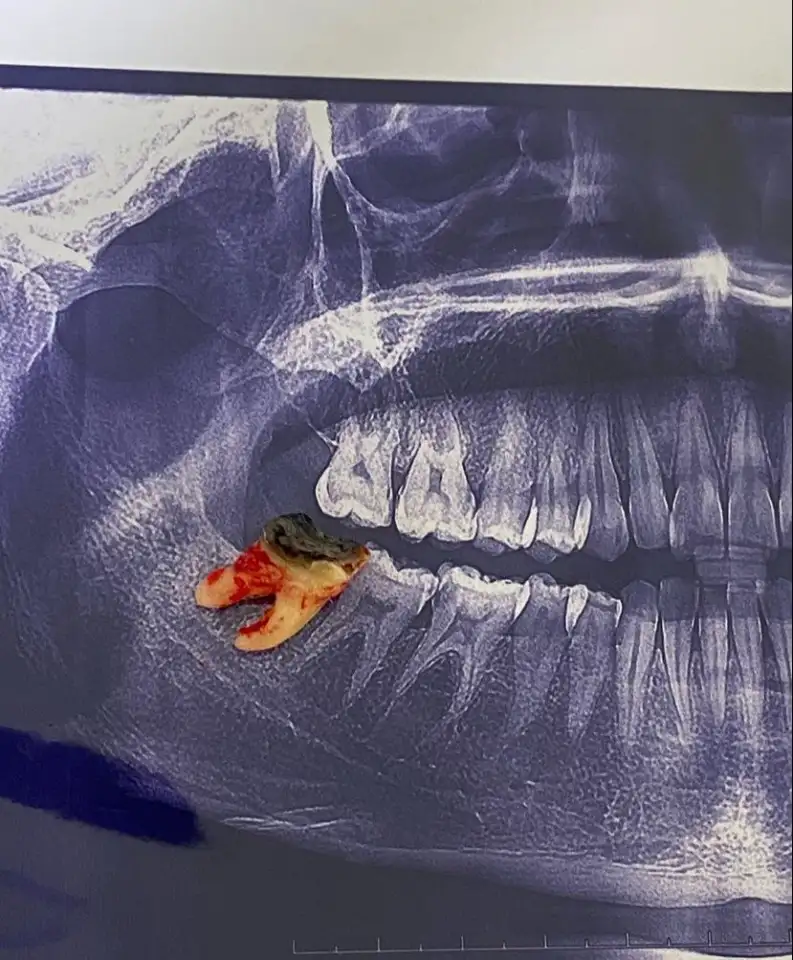 stomotolog24kz, фотография 1