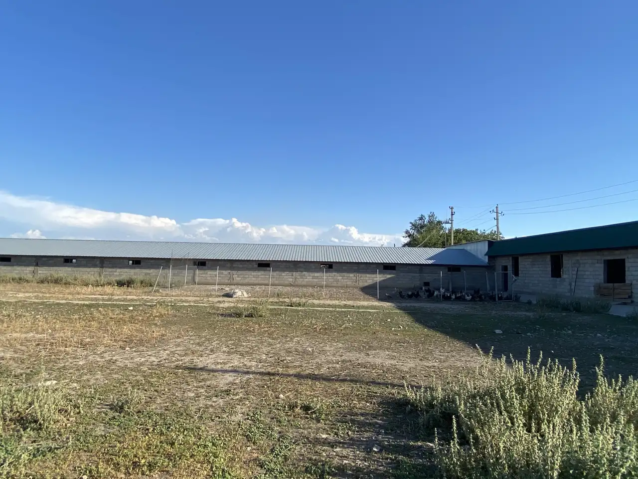 Фазенда, фотография 3