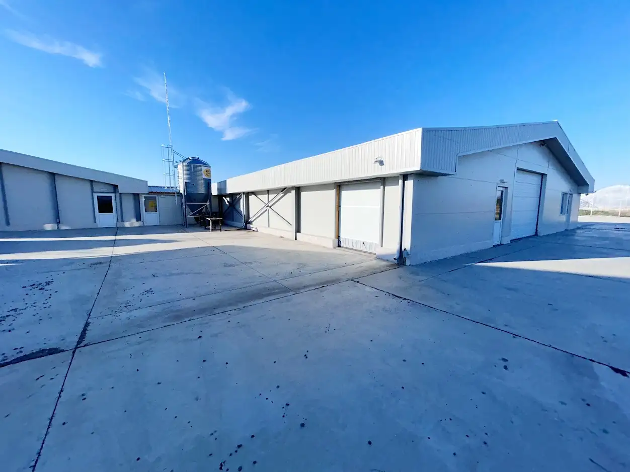 Коммерческое предложение на свиноферму 1400 голов в Румынии, фотография 1