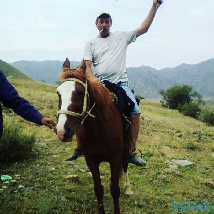 Перевозки Дэлика, фотография 1