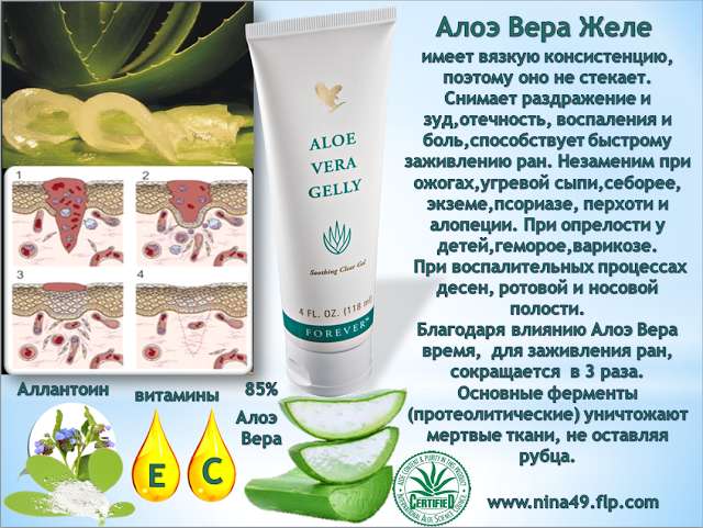 Ваша домашняя аптечка!, фотография 1