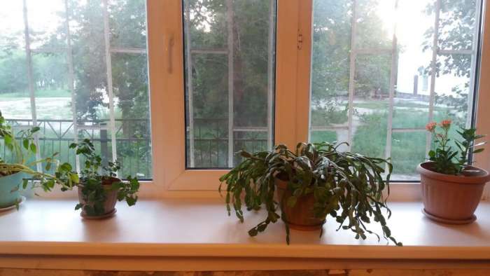 продам 1-ую квартиру, камзина10, фотография 3