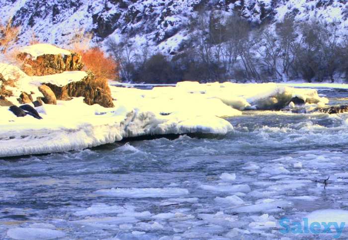 Видео-Фото, фотография 1