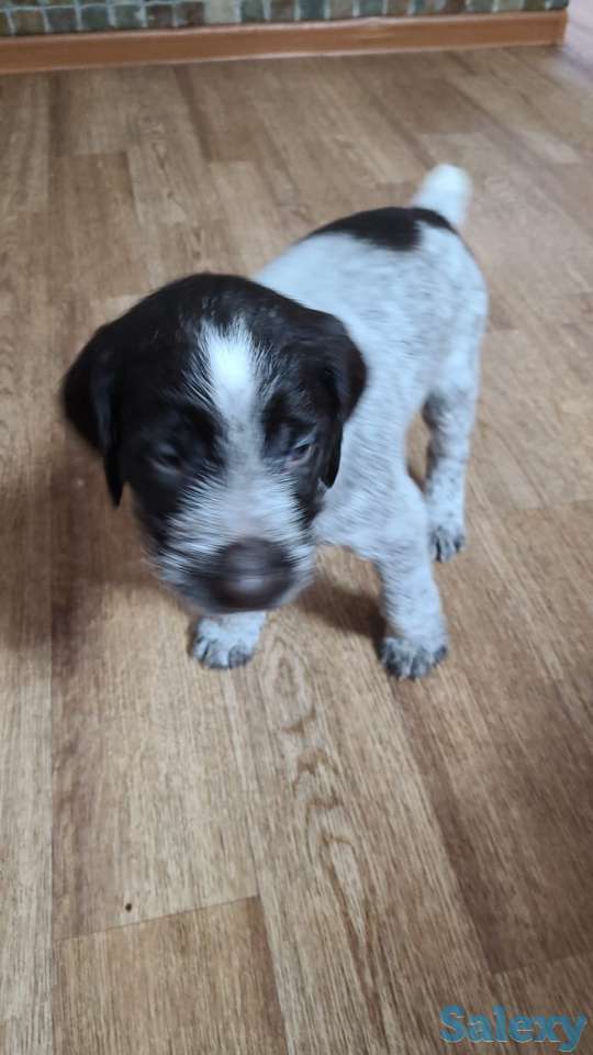 Продам, фотография 1