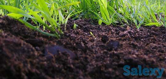 чернозем перегной, фотография 2