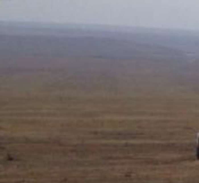 Продам участок в с. Узынагаш (25 км. от Алматы) общей площадью 21 га. Участок делимый, торг уместен.  , фотография 1