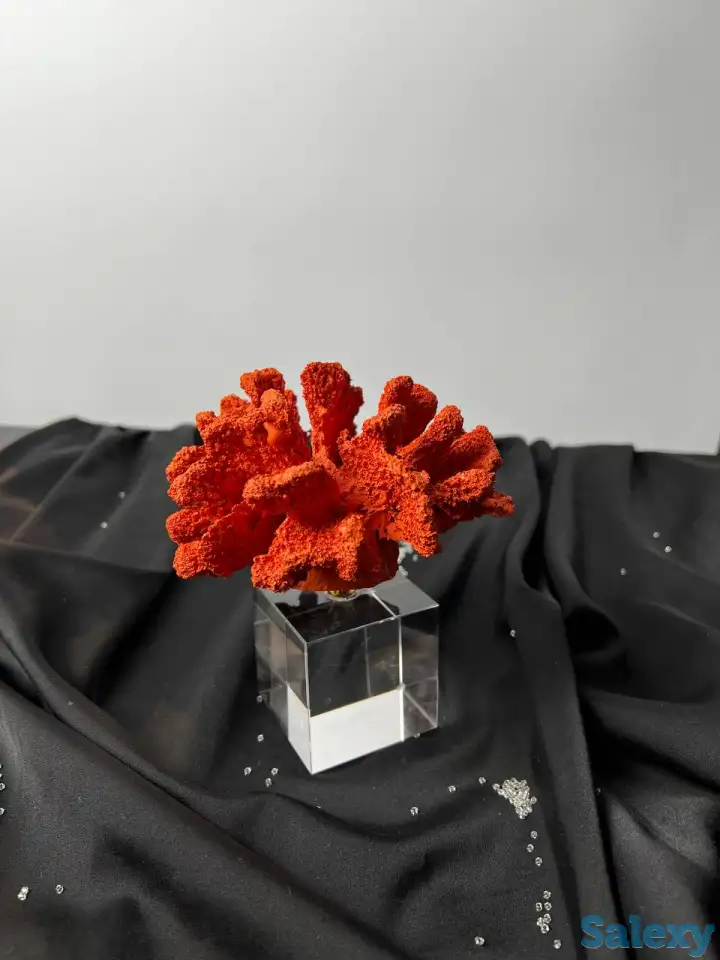 Статуэтка, фотография 3