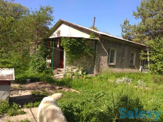 Продам дом, Карасайский район. с. Кайнар, д/о Сельский строитель, д.5, фотография 12