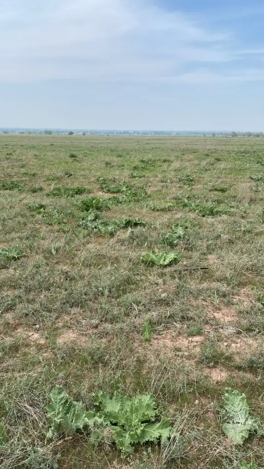 Продаются земельные участки общей площадью 18,34 га, фотография 4