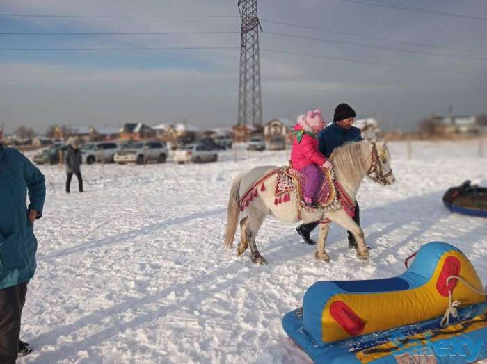 катание на санях, фотография 4