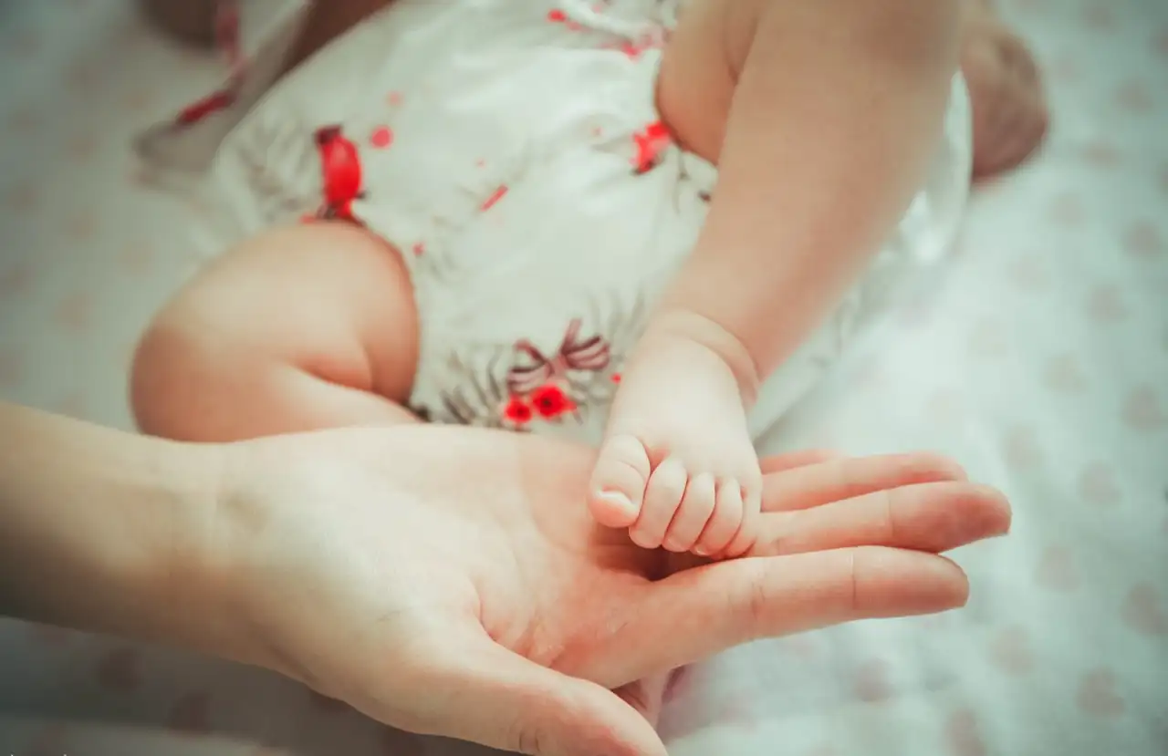 Видеосъемка фотосъемка, фотография 10