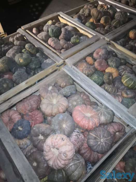 тыква оптом, фотография 4