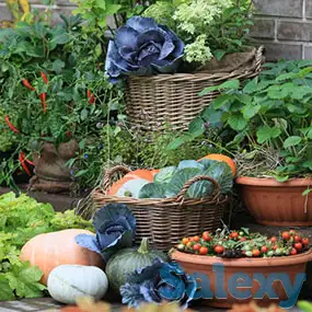 Сульфат Калия в наличии и под заказ, фотография 3