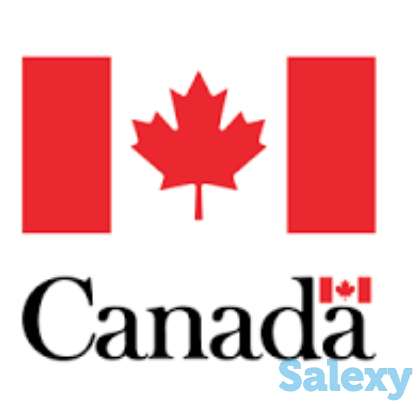 Обучение - Работа- Иммиграция в Канаду/С Ш А, фотография 1