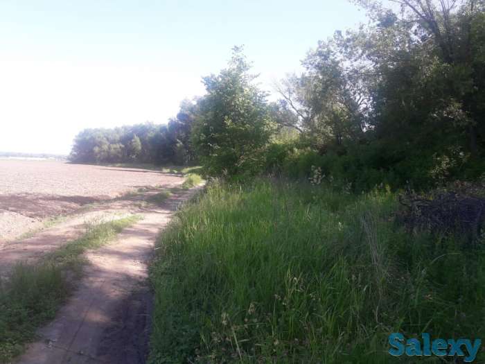 Продам участок га, Алматинская обл., р/н., Белбулак, фотография 9