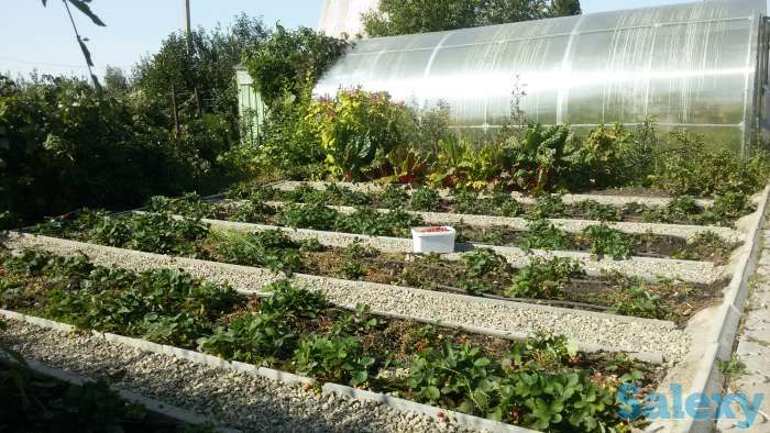 Продам дачу, С/о  