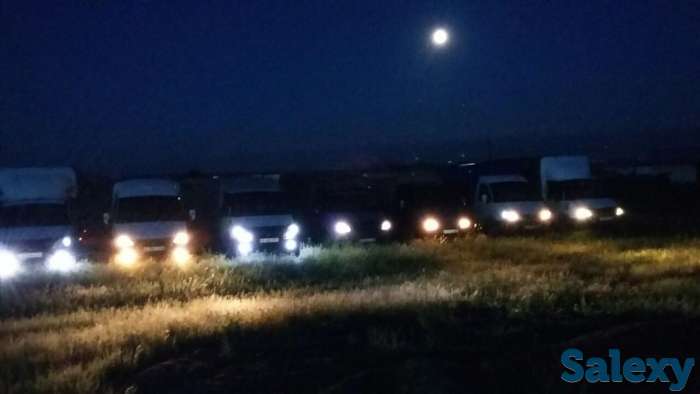 УСЛУГИ ГАЗЕЛИ, фотография 3