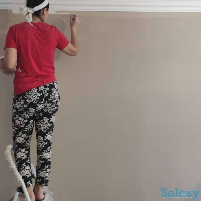 Побелка, обой, левкас, шёлк., фотография 3