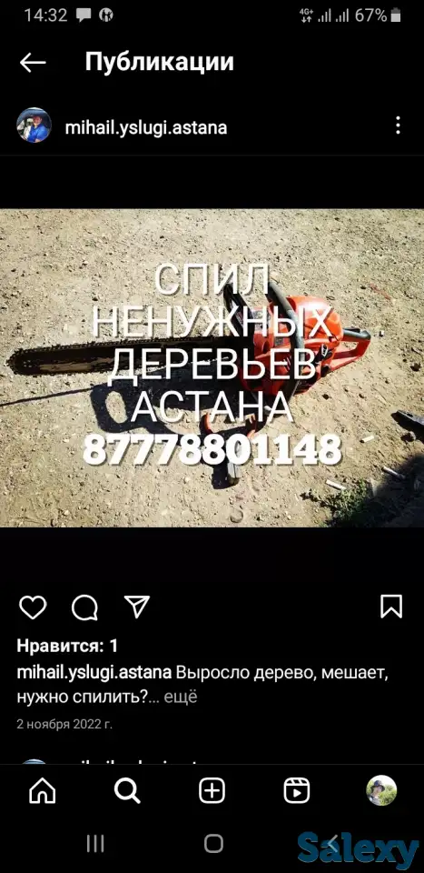 Спил деревьев Астана пригород спилить дерево, фотография 1