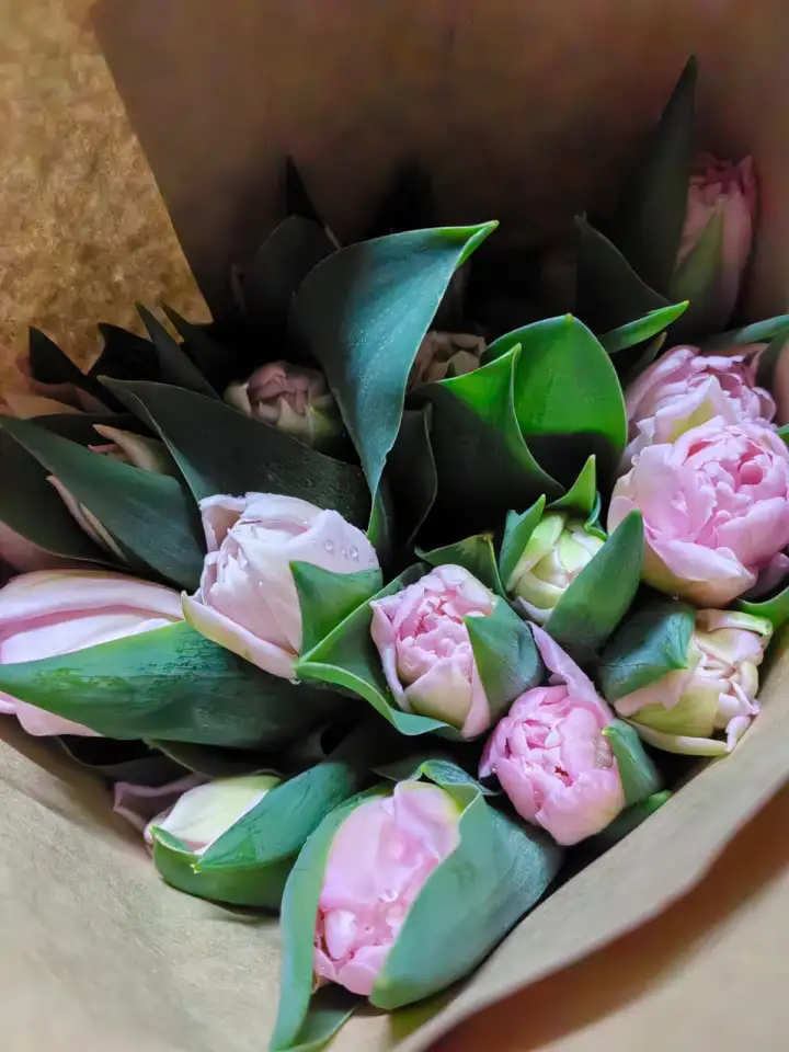 Тюльпаны премиум класса оптом к 8 марта, фотография 13