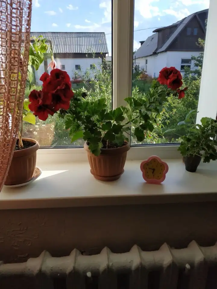 Продам дом, Город, фотография 6