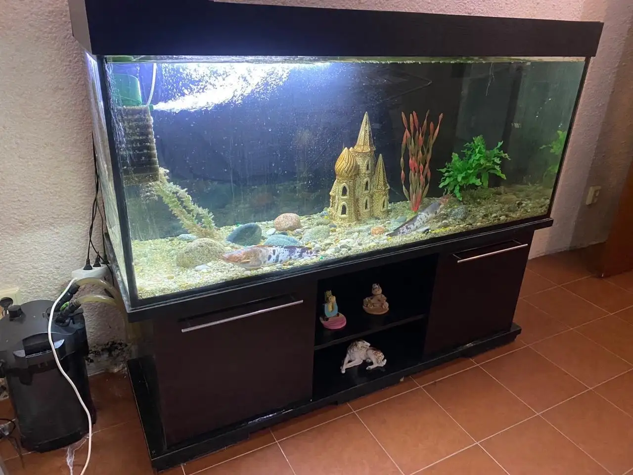 Аквариум, фотография 1