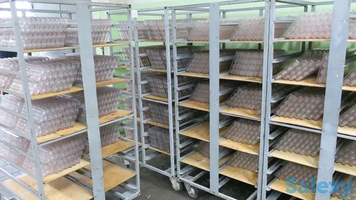 Линия шоколадных изделий с начинкой AS-275.2, фотография 2