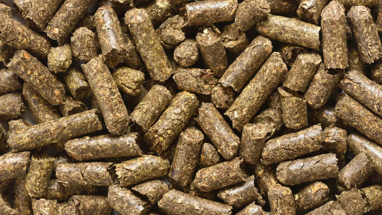 Гранулы из люцерны, фотография 2