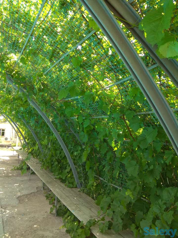 Действующий бизнес в Чундже, фотография 3