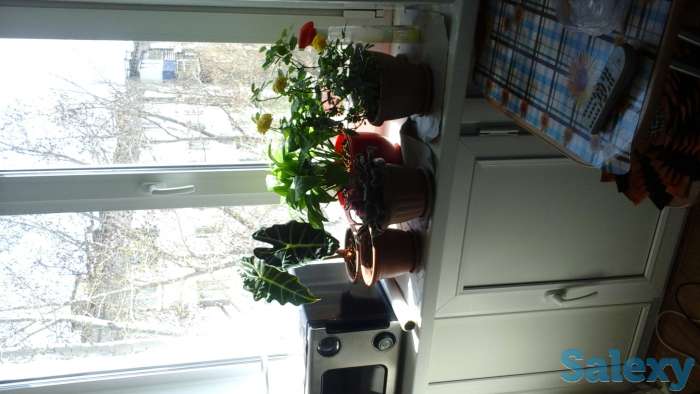 Обменяю квартиру на деньги, Ленина 189, фотография 4