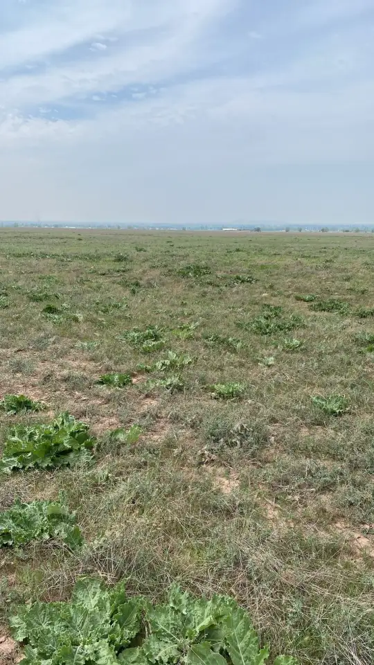 Продаются земельные участки общей площадью 18,34 га, фотография 2