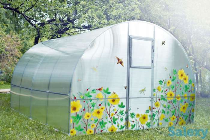 Сотовый поликарбонат Primavera II  (прозрачный) для теплиц., фотография 1