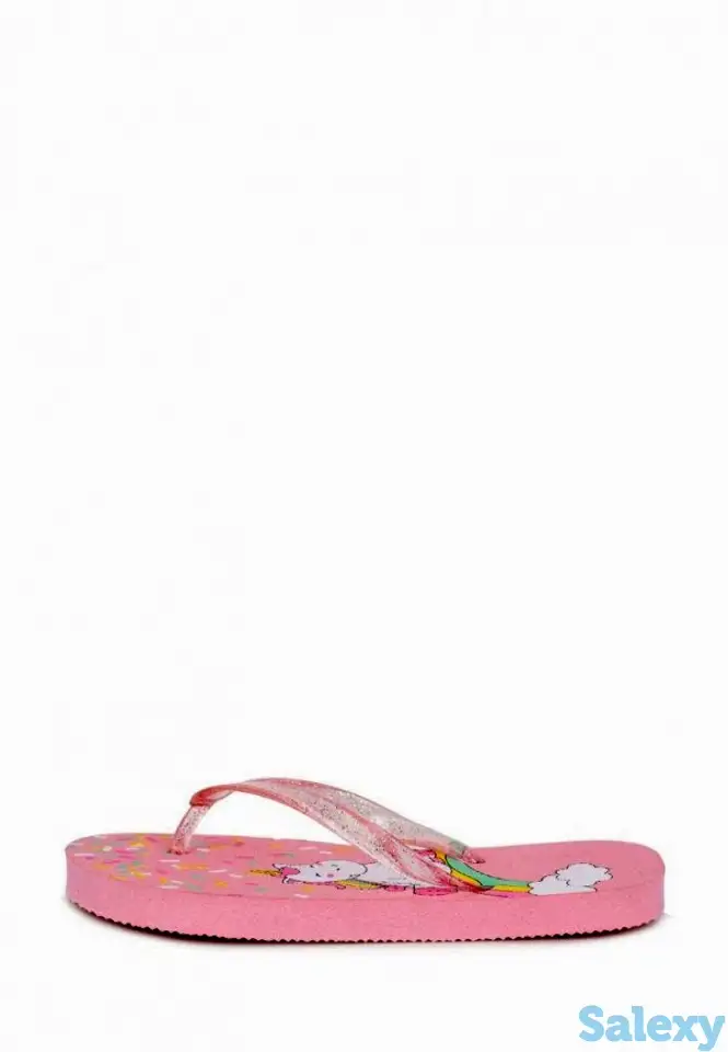 Сланцы t.taccardi, фотография 2