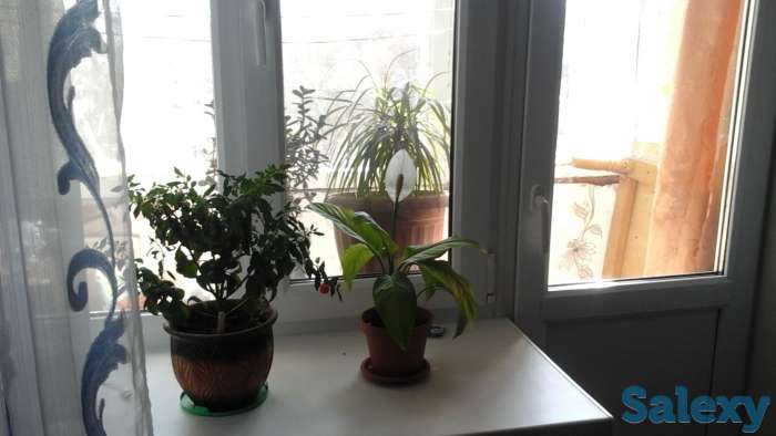 Обменяю квартиру на деньги, Ленина 189, фотография 2