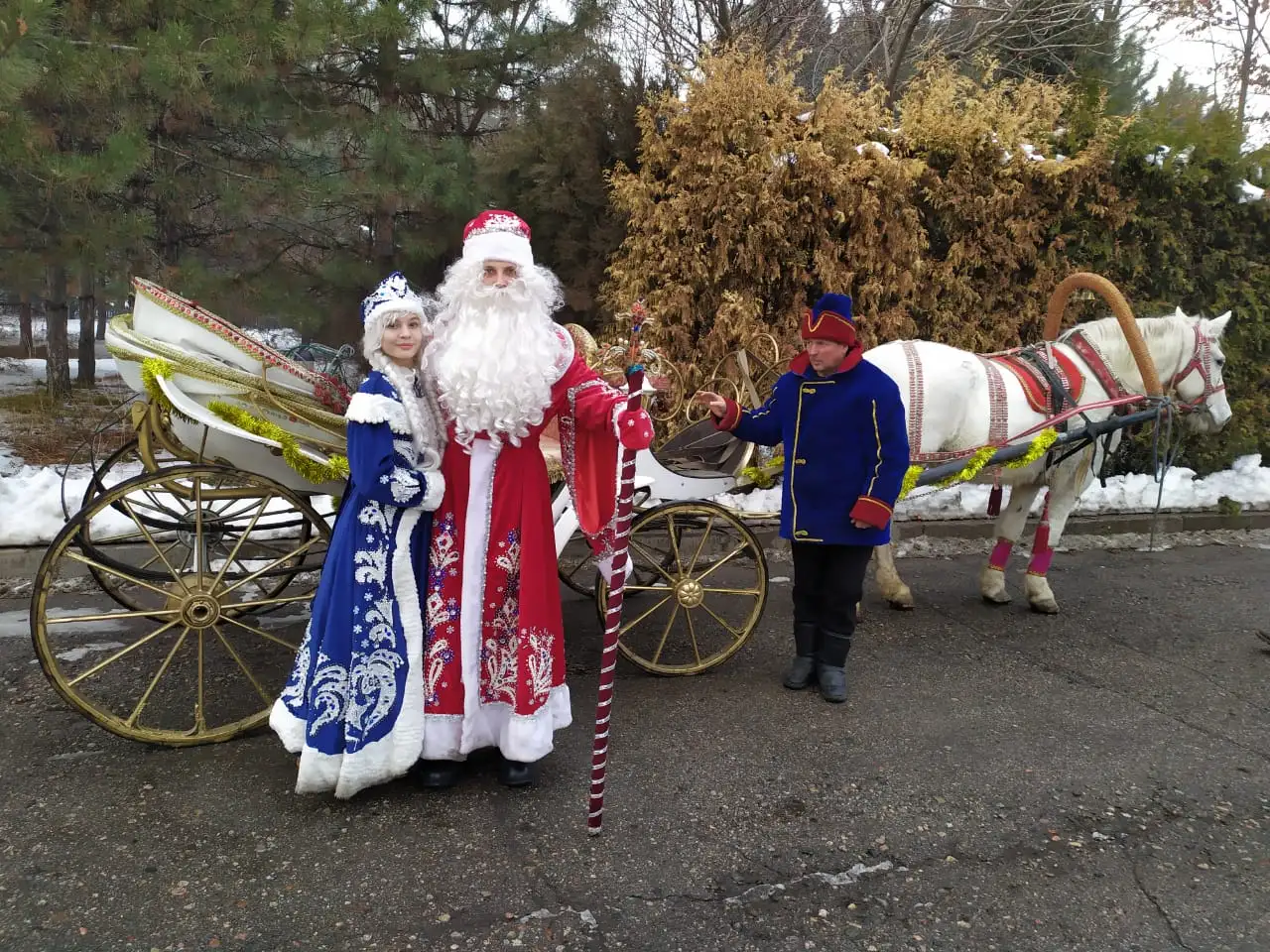 Сани кареты, фотография 5